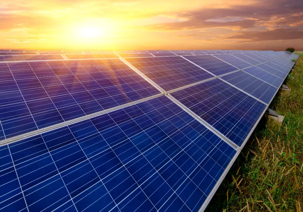 sunopee valorise votre terrain avec l'installation d'une centrale photovoltaique de panneau solaire au sol