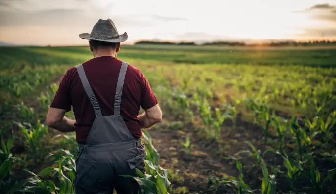 sunopee propose aux agriculteurs de rénover ou de construire un batiment agricole grâce à l'installation de panneaux solaires 