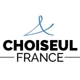 logo du classement les Nouveaux Conqurants de lEconomie de lInstitut Choiseul.jpg